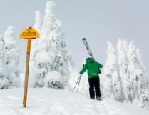 133494_10151753974735166_300404977_o