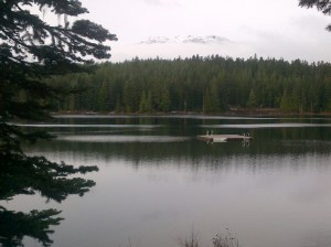 Whistler-20131110-01136