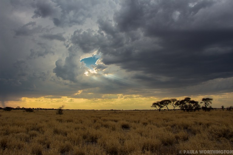 Botswana Small - P Worthington-6334