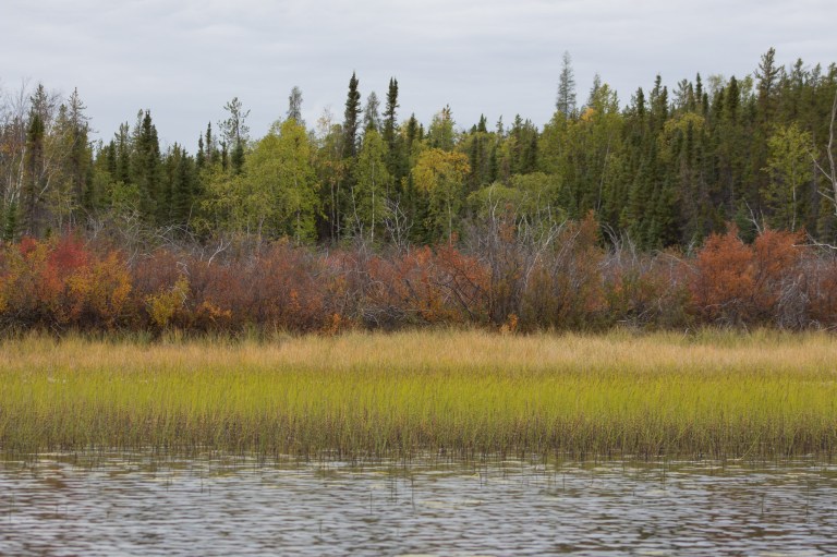 Yellowknife YDL Fall Colours-9046