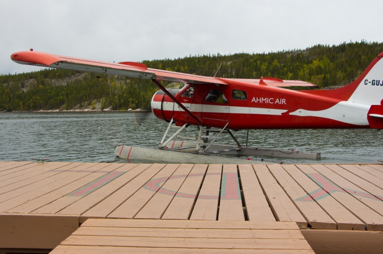 Yellowknife Yellow Dock-8898
