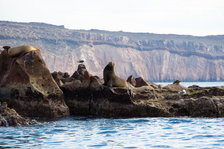 La Paz Mexico - P Worthington-2342